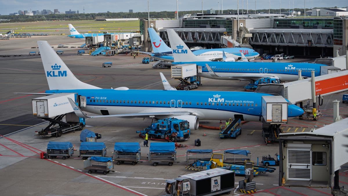 Schiphol to Amsterdam: Train, Bus or Taxi Compared